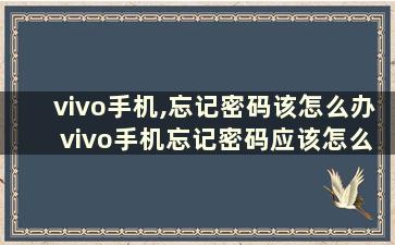 vivo手机,忘记密码该怎么办 vivo手机忘记密码应该怎么办